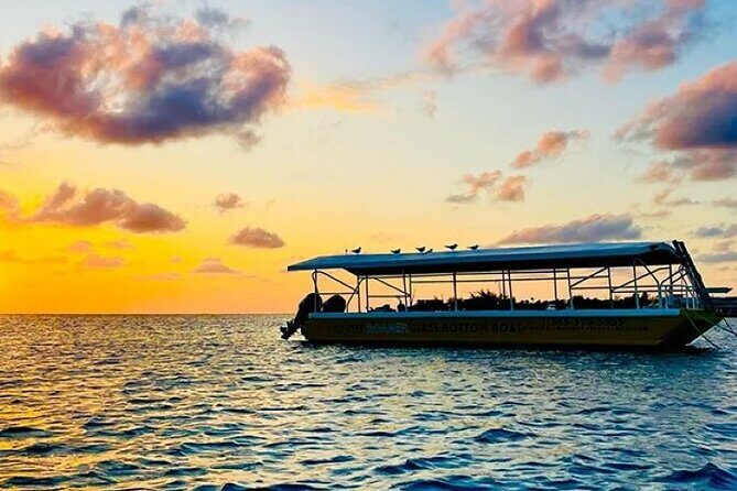 2 Stop Reef Snorkel and Glass Bottom Boat Adventure - Price vs. what you get: why $35 makes sense here
