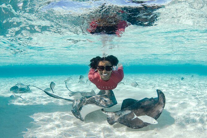 3 Hour Private Charter on Stingray City with Snorkeling - Stop 4: Snorkeling Near Rum Point or Coral Gardens