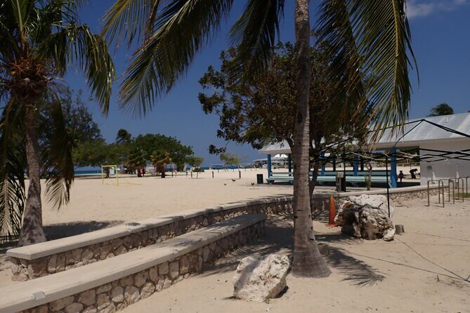 4-Stop Stingray, Snorkel, Star Fish & 7 Mile Beach (Family Owned) - Value and price: what $85 buys you in Grand Cayman