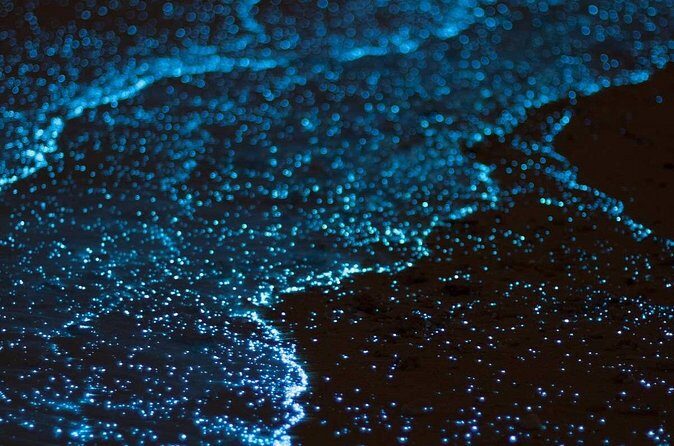 Bioluminescent Bay Adventure in Grand Cayman - Small-group limits, meeting point, and what you should bring