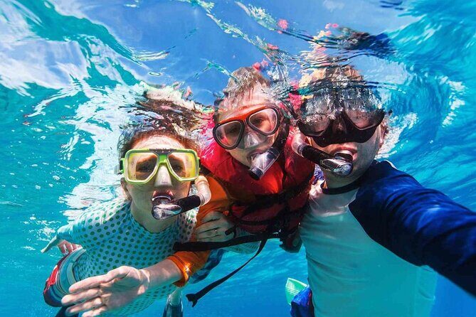 Cayman Ultimate Tour: Stingrays, Starfish Point and Crystal Caves - Who this tour fits best