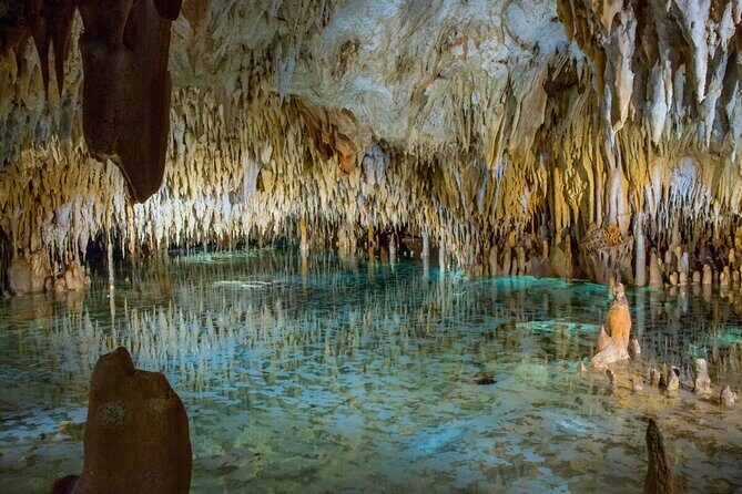 CaymanVisitor Hide & Seek GeoTour Self-Drive Tour - Key Points You Should Know Before You Go
