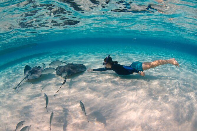 CaymanVisitor Hide & Seek GeoTour Self-Drive Tour - Start at 257 Roberts Dr: Your First Move Sets the Tone