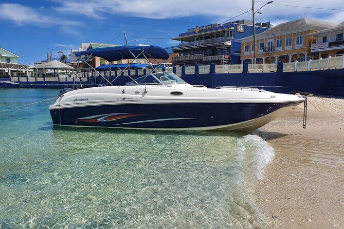 Full-Day Private Stingray City Snorkeling and Starfish Beach Tour - Key highlights worth planning for