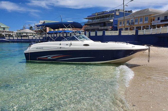 Full-Day Private Stingray City Snorkeling and Starfish Beach Tour - Price and value: $1,050 per group up to 10 people