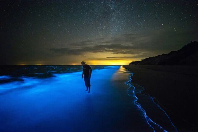 Grand Cayman Bioluminescence Adventure - Key highlights to know before you go