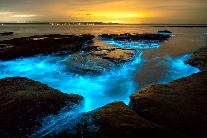 Grand Cayman Bioluminescence Adventure - What’s included (and what you’ll pay for on your own)