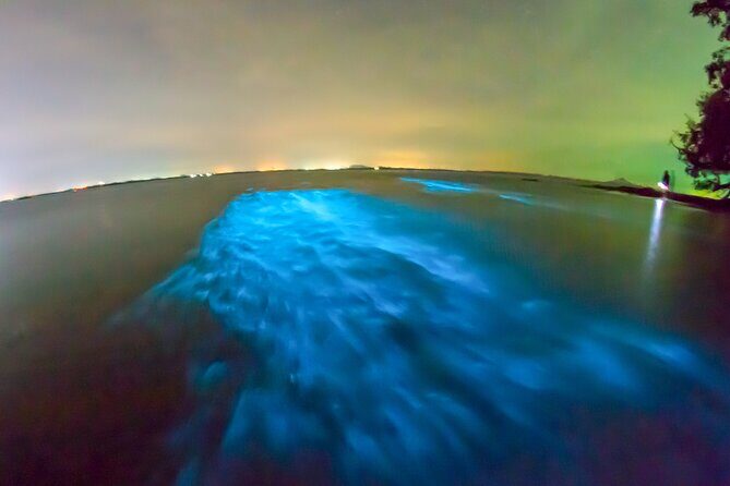 Grand Cayman Bioluminescence Adventure - Safety and comfort: the guide’s role is a big deal