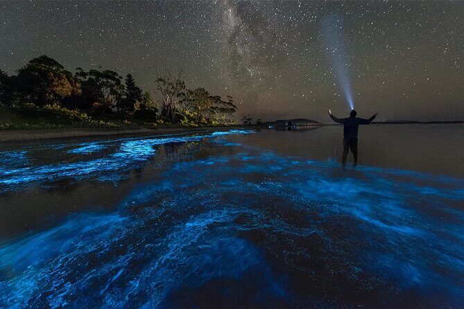 Grand Cayman Bioluminescence Adventure - Who should book this Grand Cayman bioluminescence boat tour