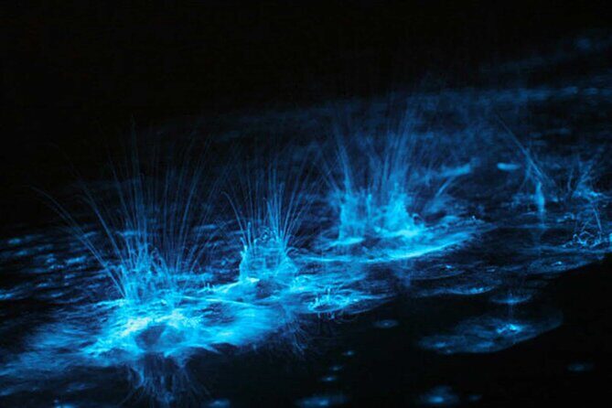 Grand Cayman Bioluminescence Experience - 6:30 pm pickup and the real timing of your “2 hours of glow”