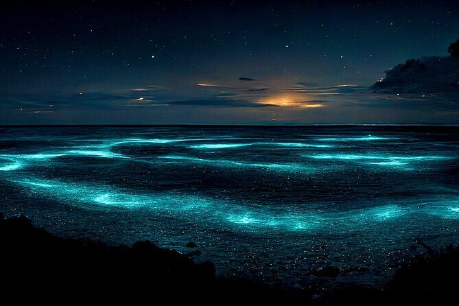 Grand Cayman Bioluminescent Bay Adventure - Starfish Point: dusk, upside-down jellyfish, and a bug reality check
