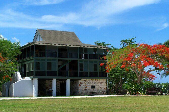 Grand Cayman Private Customized Bus Tour - Morning at 9am or late at 6pm: picking the right departure window