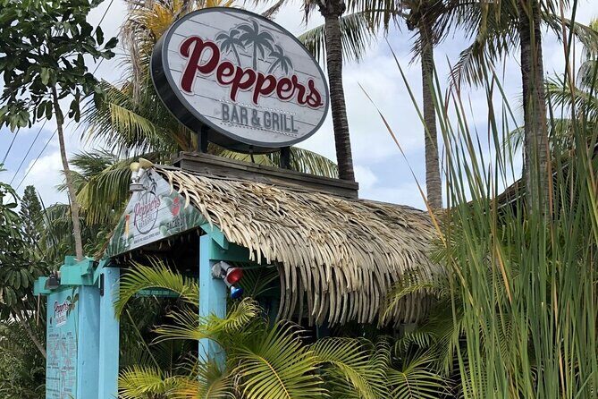 Grand Cayman Private Customized Bus Tour - Stop-by-stop: Seven Mile Beach, turtles, Devil’s Grotto, and Hell