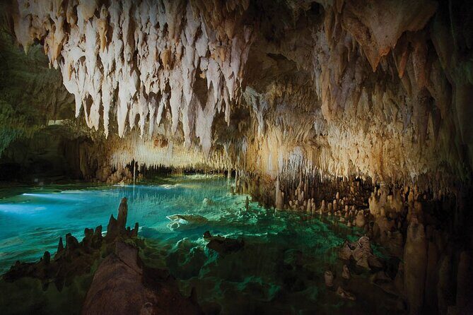 Grand Cayman Private Customized Bus Tour - The timing reality: how to get the most in 3–4 hours