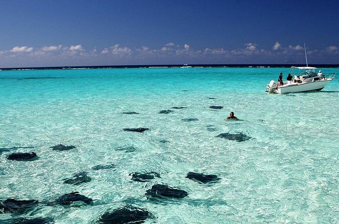 Grand Cayman Stingray City and Reef Snorkeling Combo Tour - Who should book this Stingray + Reef combo?
