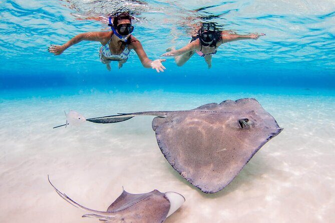 Grand Cayman Stingray City and Reef Snorkeling Combo Tour - How the timing works on a 2.5-hour tour