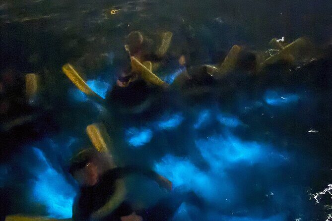 Private Bioluminescence Tour in Grand Cayman - Stop 1: bioluminescent bay snorkel/swim at night