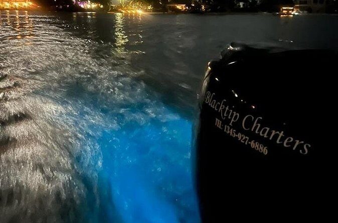 Private Bioluminescence Tour in Grand Cayman - Price and value: what $1,025 per group really buys you