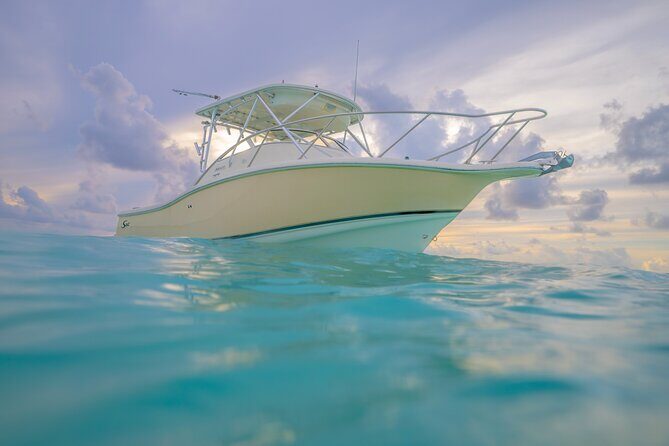 Private Boat Tours: Customize Your Grand Cayman Adventure! - Bio Bay at night: why the glowing water is worth planning for