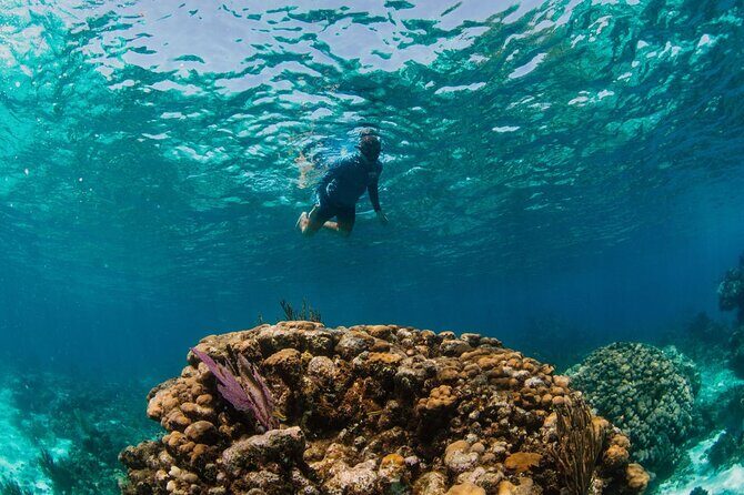 Private Charter Reef fishing, Stingray City, Snorkel, Mangroves - Why Cayboss Charters feels different in Grand Cayman