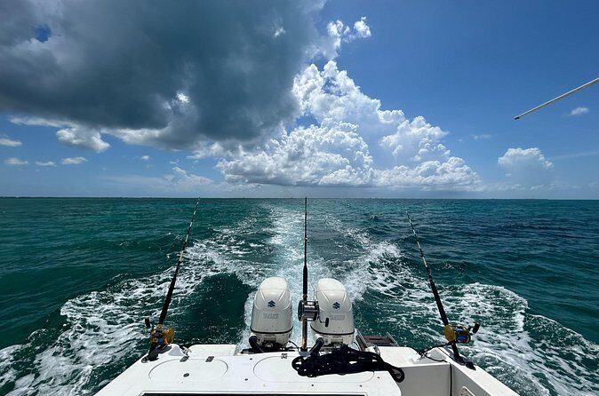 Private Charter Reef fishing, Stingray City, Snorkel, Mangroves - Bioluminescent Bay at night: the magic, plus what to plan for