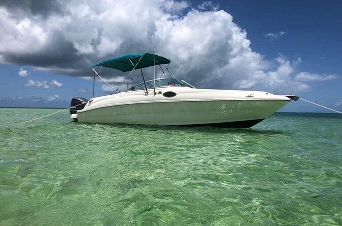Private Full Day Charter - Stingray City, Starfish Point, Kaibo & Snorkeling - Price and group size: where the value really shows