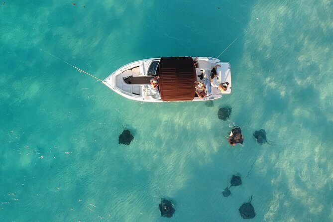 Private, luxury, custom charters to Stingray City, Snorkeling & More - Key Points to Know Before You Go