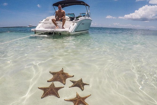 Private, luxury, custom charters to Stingray City, Snorkeling & More - A Private Cobalt Charter in Grand Cayman’s North Sound