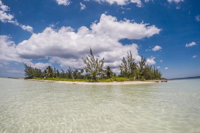Private, luxury, custom charters to Stingray City, Snorkeling & More - Stingray City Swim: How the Crew Helps You Feel Ready
