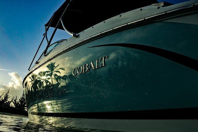 Private, luxury, custom charters to Stingray City, Snorkeling & More - Starfish Point: The Calm Hour Between the Big Moments