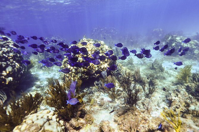 Private Stingray City and Snorkeling Half Day Charter for 6 Guest - On-board comfort: towels, showers, and small luxuries you’ll use