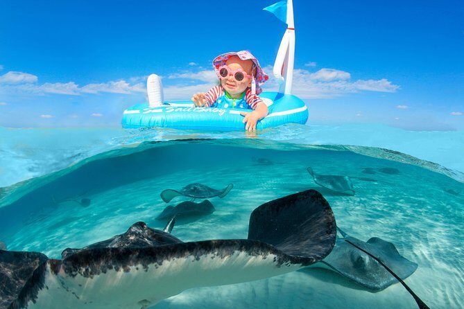 Private Stingray City Snorkeling and BioBay Charter for 6 Guests - Price and value: what $2,000 buys for a private group