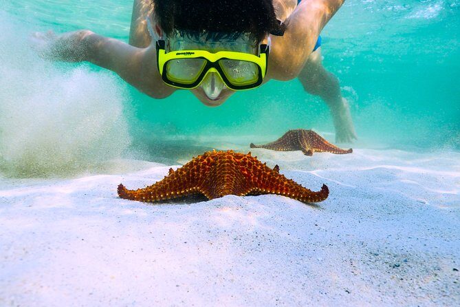 Private Stingray City Snorkeling and BioBay Charter for 6 Guests - Stop 1: Starfish Point for calm water and easy photos