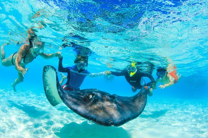 Private Stingray City Snorkeling and BioBay Charter for 6 Guests - Crazy Crab logistics: meeting at Camana Bay and settling in