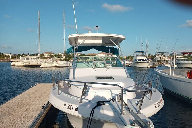 Private Tour to Stingray City & Snorkeling at Coral Gardens - Key highlights at a glance