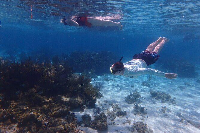 Private Tour to Stingray City & Snorkeling at Coral Gardens - Private Stingray City + Coral Gardens: what you’re really paying for