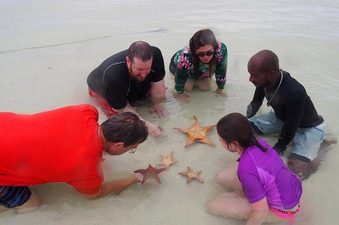 Starfish Point, Stingray City & Coral Garden (3-STOP Adventure) - Responsible interactions: what the crew focuses on