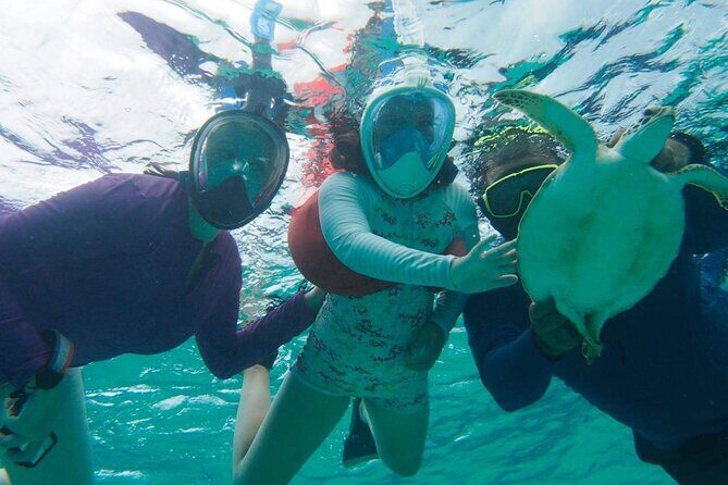 Stingray City Experience Plus One Snorkeling Stop - What to bring (and what the crew already covers)