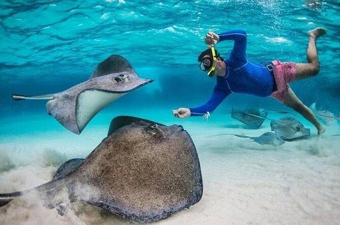 Stingray City Sandbar, Coral Gardens Snorkeling & Star Fish Point - Starfish Point: The Shallow, Secluded Touch-and-See Stop