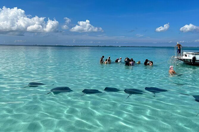 StingrayCity ,Coral Garden & Starfish Tour. - Getting to Safehaven Marina: the quick path to the water