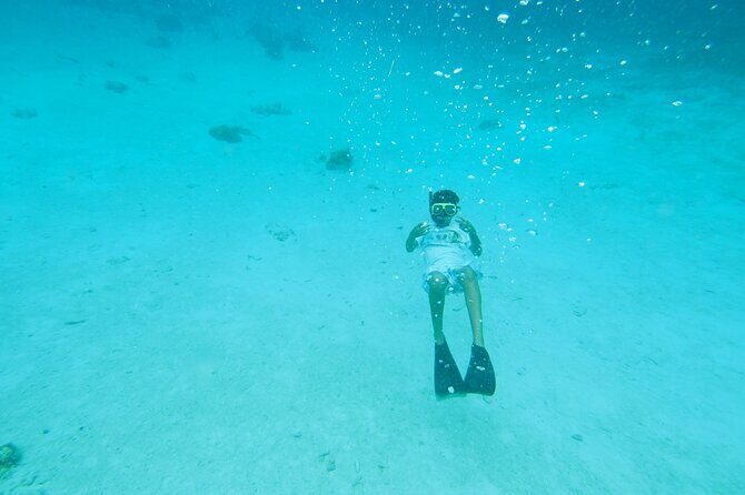 StingrayCity ,Coral Garden & Starfish Tour. - Price and value: what $69 includes and what costs extra